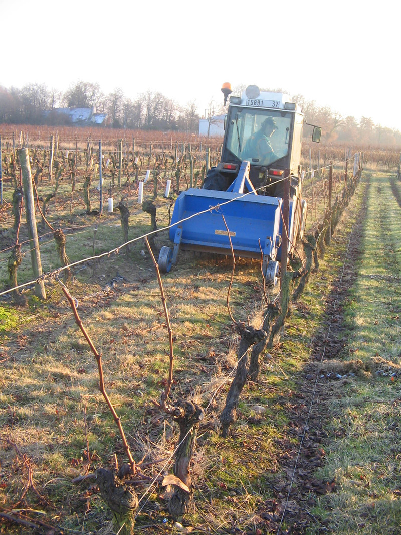 Lam Delisle Boucard BROYAGE DES SARMENTS DE VIGNE